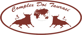 logo Complex Doi Taurasi