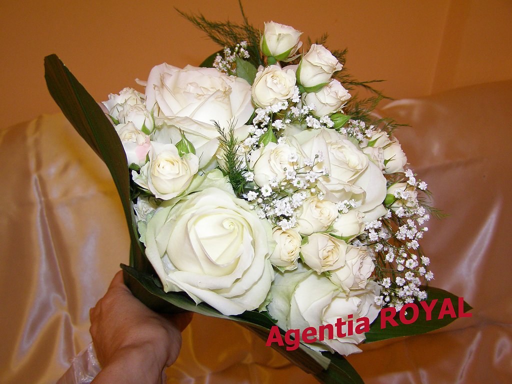 Agentia Royal