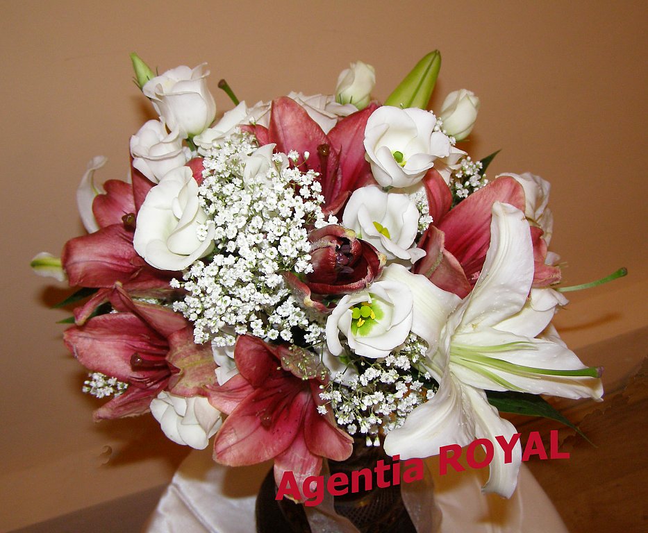 Agentia Royal
