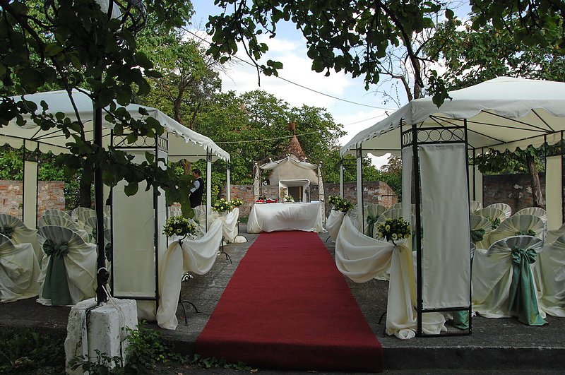 Dream Day