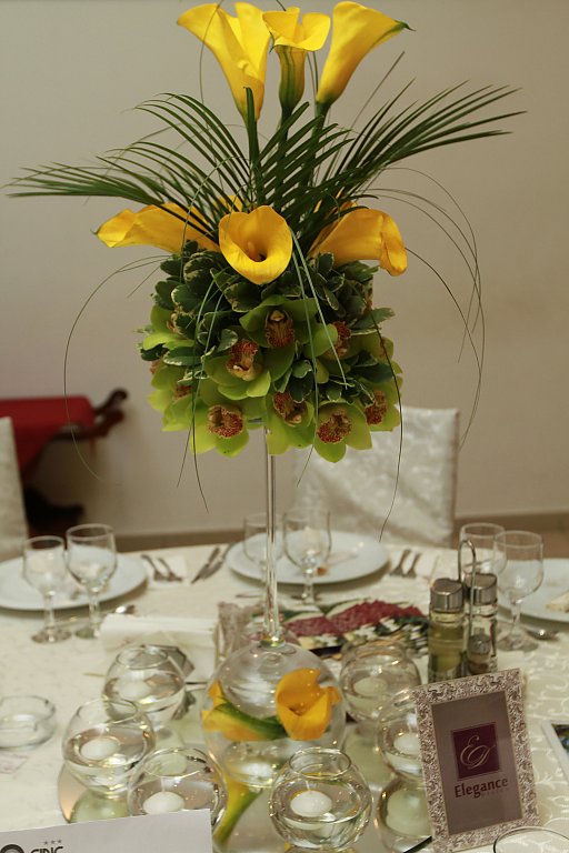 Elegance Design