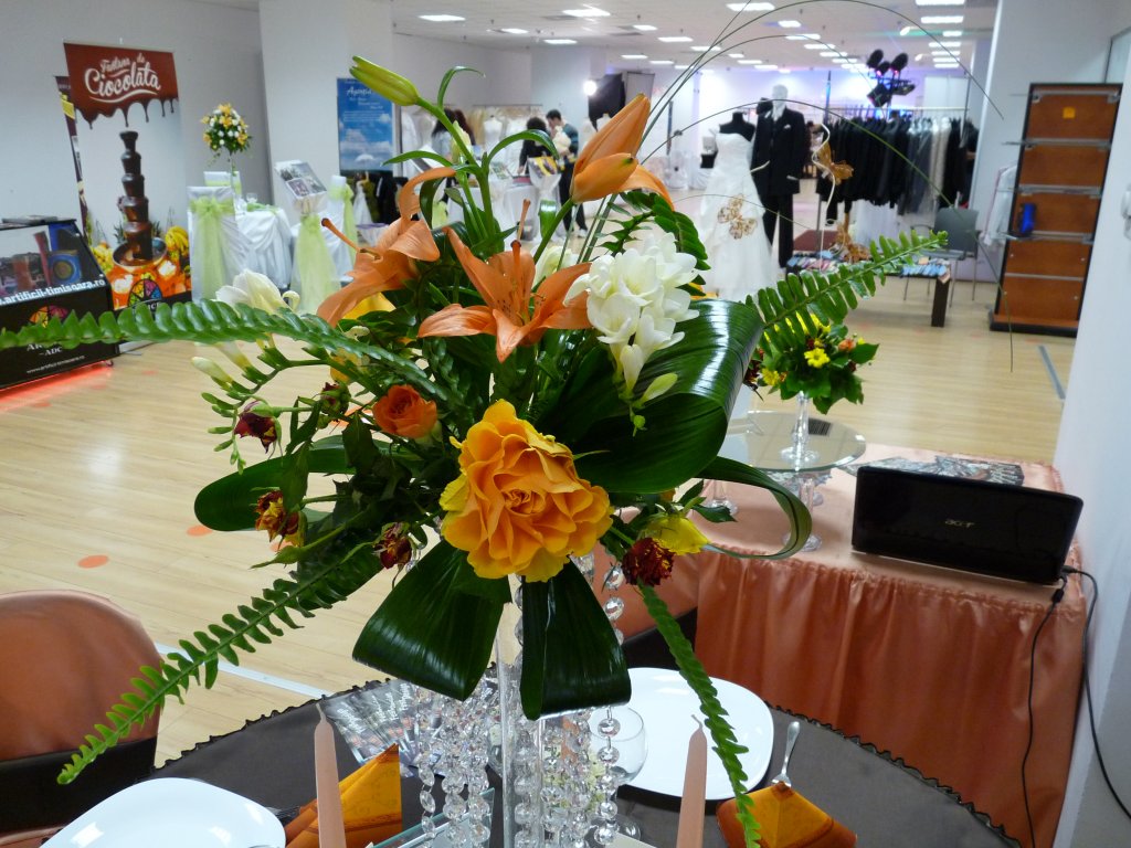 FestDesign