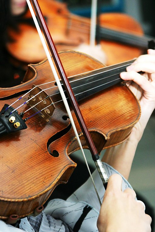 Gioia String Quartet