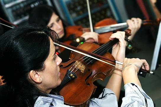 Gioia String Quartet
