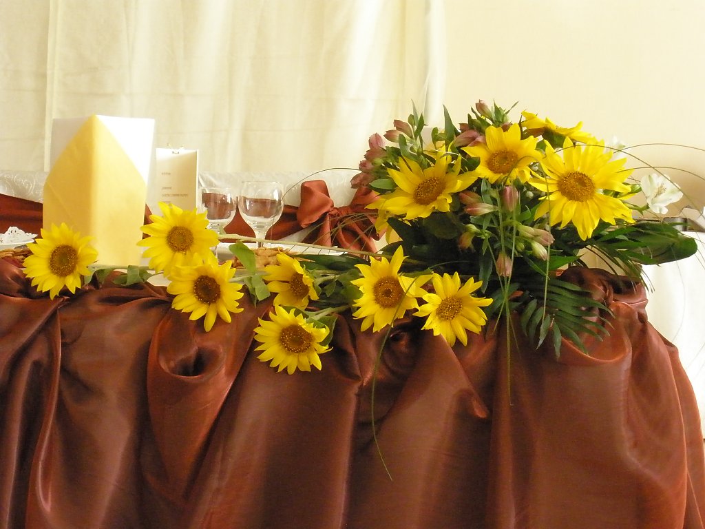 Iulia Events