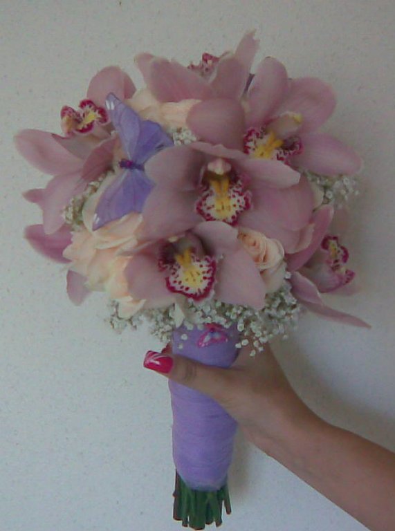 Nicos Design