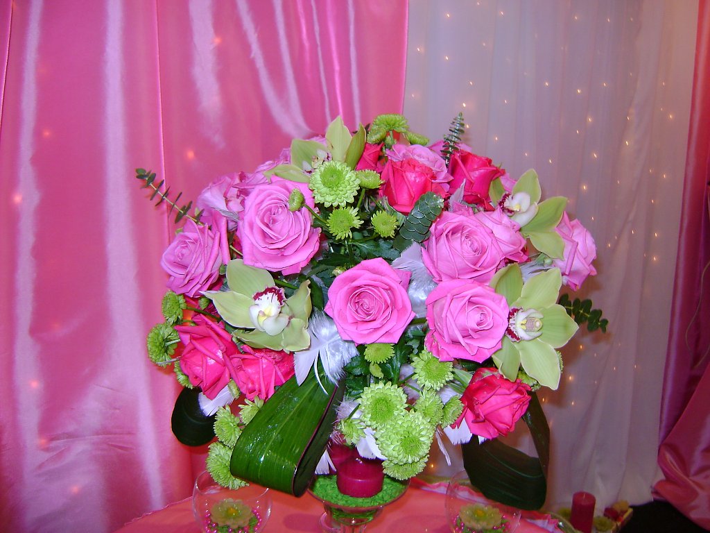 Nicos Design