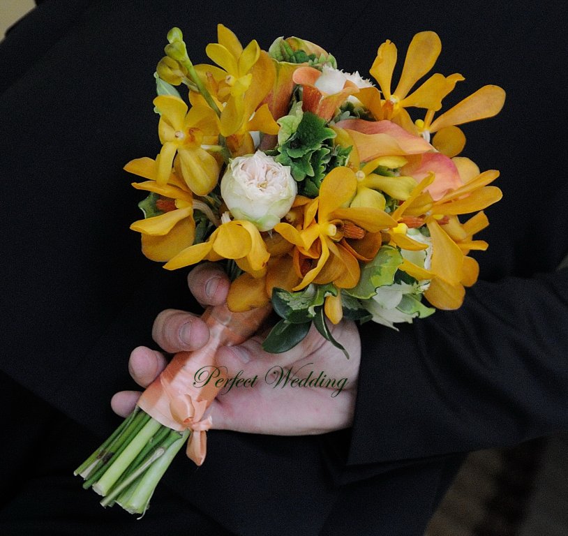 Perfect  Wedding