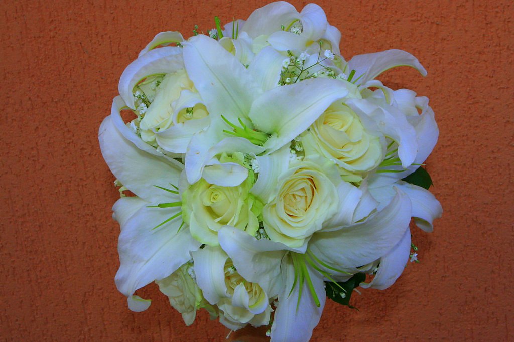 Ramydecor