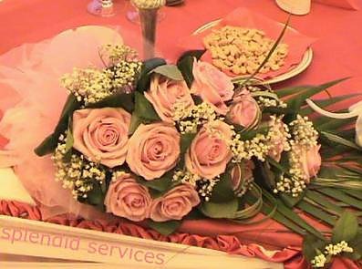 Splendid Services