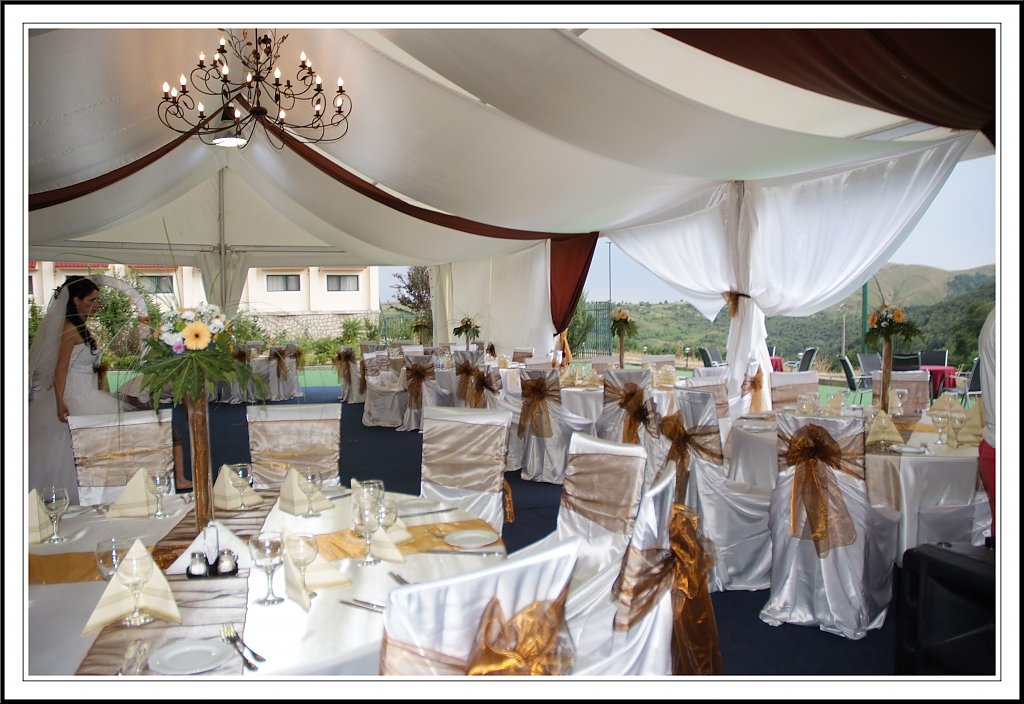 VIP Marriage