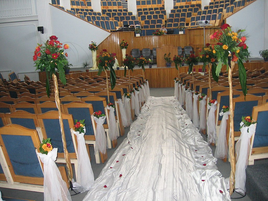 Wedding Expert
