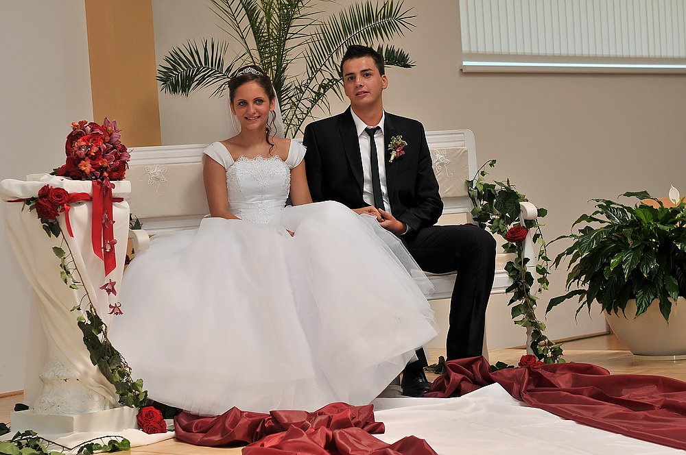 Wedding Expert